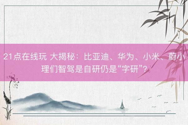 21点在线玩 大揭秘:比亚迪、华为、小米、蔚小理们智驾是自研仍是“字研”?